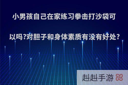 小男孩自己在家练习拳击打沙袋可以吗?对胆子和身体素质有没有好处?