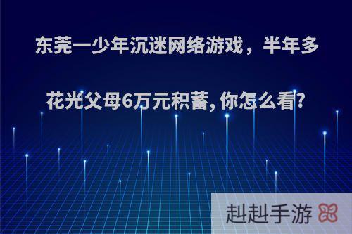 东莞一少年沉迷网络游戏，半年多花光父母6万元积蓄, 你怎么看?