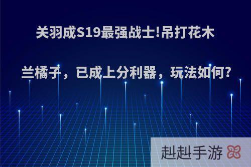 关羽成S19最强战士!吊打花木兰橘子，已成上分利器，玩法如何?