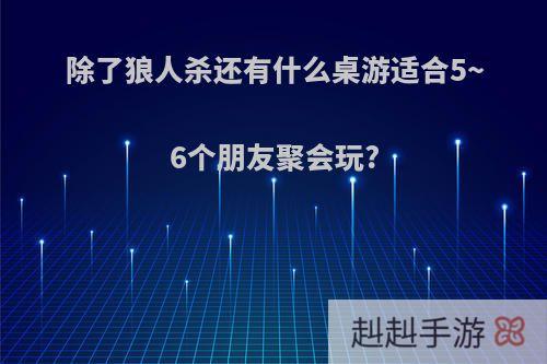 除了狼人杀还有什么桌游适合5~6个朋友聚会玩?