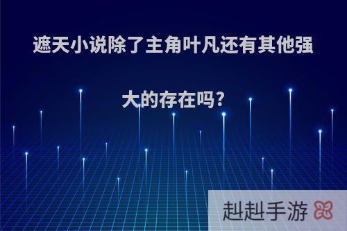 遮天小说除了主角叶凡还有其他强大的存在吗?