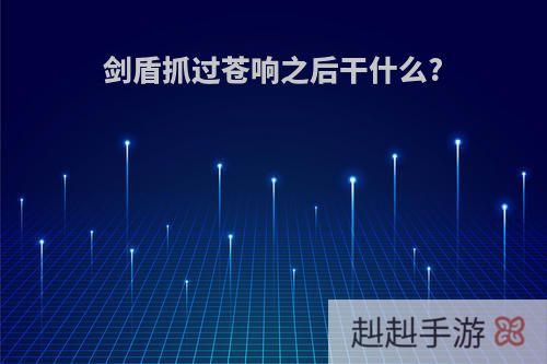 剑盾抓过苍响之后干什么?