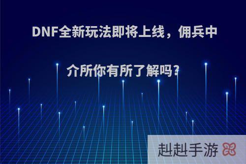DNF全新玩法即将上线，佣兵中介所你有所了解吗?