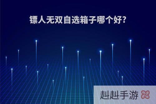 镖人无双自选箱子哪个好?
