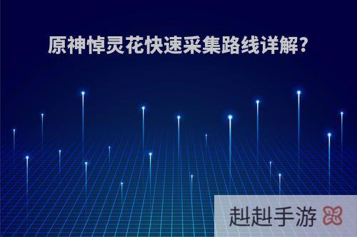 原神悼灵花快速采集路线详解?