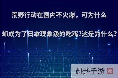 荒野行动在国内不火爆，可为什么却成为了日本现象级的吃鸡?这是为什么?