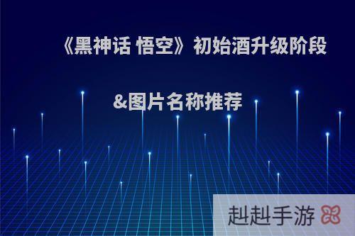 《黑神话 悟空》初始酒升级阶段&图片名称推荐