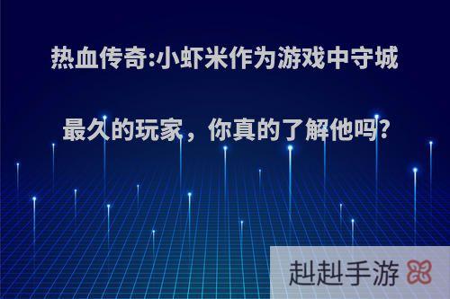热血传奇:小虾米作为游戏中守城最久的玩家，你真的了解他吗?