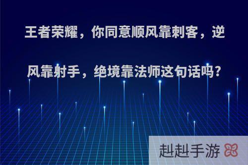 王者荣耀，你同意顺风靠刺客，逆风靠射手，绝境靠法师这句话吗?