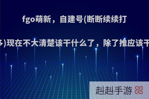 fgo萌新，自建号(断断续续打了两周多)现在不大清楚该干什么了，除了推应该干点啥呢?