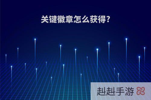 关键徽章怎么获得?