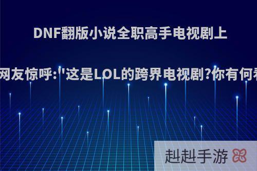 DNF翻版小说全职高手电视剧上线，网友惊呼: