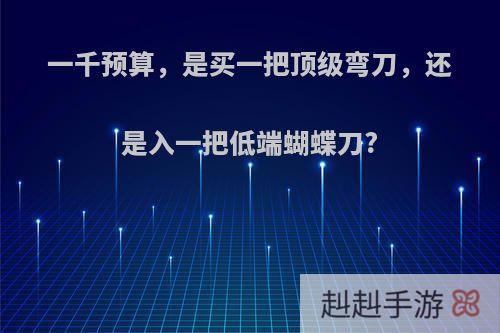 一千预算，是买一把顶级弯刀，还是入一把低端蝴蝶刀?