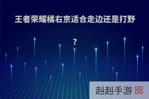 王者荣耀橘右京适合走边还是打野?