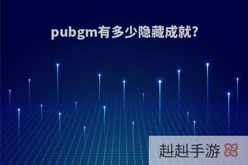 pubgm有多少隐藏成就?