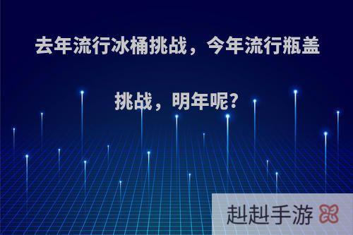 去年流行冰桶挑战，今年流行瓶盖挑战，明年呢?