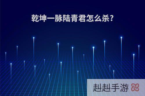 乾坤一脉陆青君怎么杀?