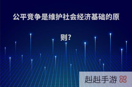 公平竞争是维护社会经济基础的原则?