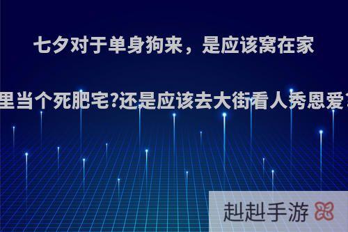 七夕对于单身狗来，是应该窝在家里当个死肥宅?还是应该去大街看人秀恩爱?