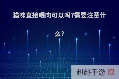 猫咪直接喂肉可以吗?需要注意什么?
