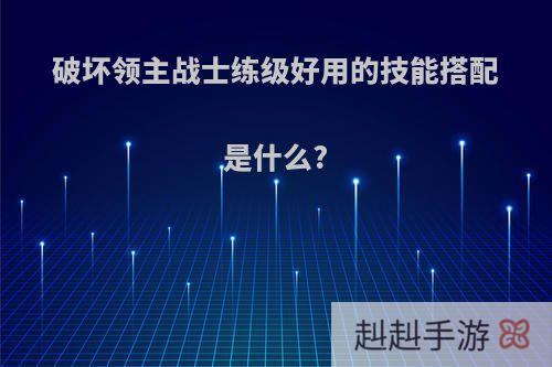 破坏领主战士练级好用的技能搭配是什么?