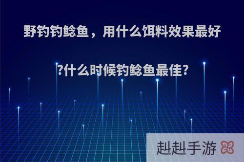 野钓钓鲶鱼，用什么饵料效果最好?什么时候钓鲶鱼最佳?