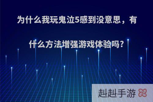 为什么我玩鬼泣5感到没意思，有什么方法增强游戏体验吗?