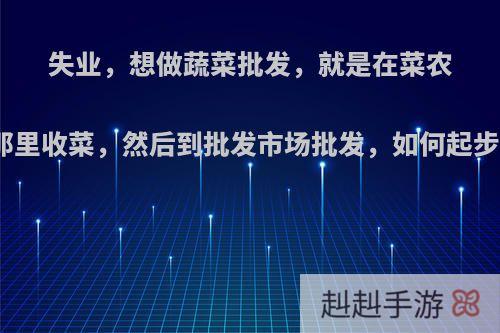 失业，想做蔬菜批发，就是在菜农那里收菜，然后到批发市场批发，如何起步?