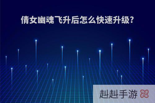 倩女幽魂飞升后怎么快速升级?