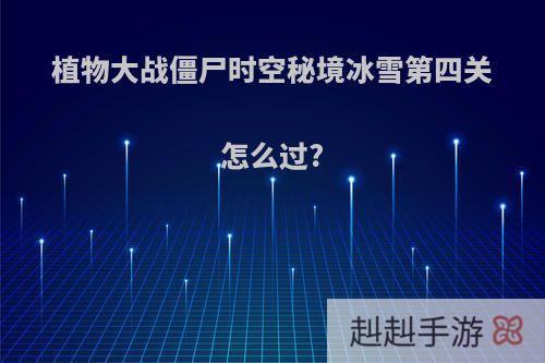 植物大战僵尸时空秘境冰雪第四关怎么过?