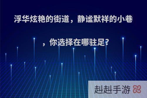 浮华炫艳的街道，静谧默祥的小巷，你选择在哪驻足?