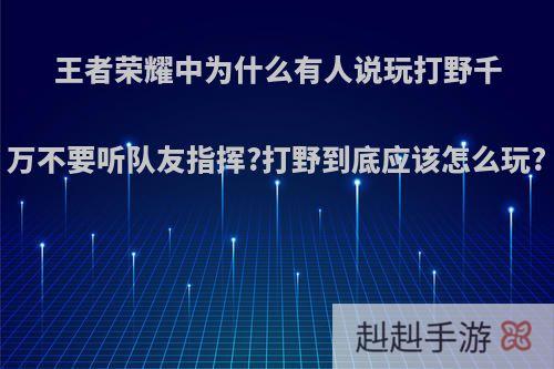 王者荣耀中为什么有人说玩打野千万不要听队友指挥?打野到底应该怎么玩?