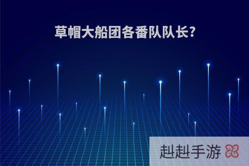 草帽大船团各番队队长?