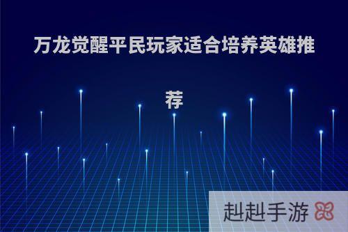 万龙觉醒平民玩家适合培养英雄推荐