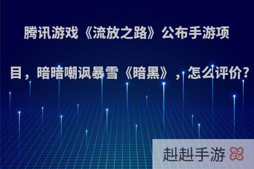 腾讯游戏《流放之路》公布手游项目，暗暗嘲讽暴雪《暗黑》，怎么评价?