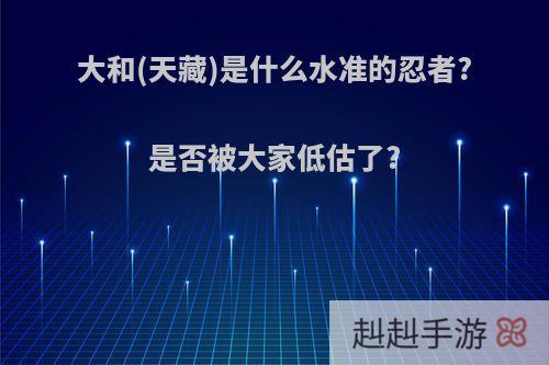 大和(天藏)是什么水准的忍者?是否被大家低估了?