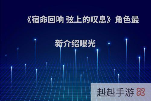 《宿命回响 弦上的叹息》角色最新介绍曝光