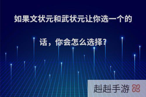 如果文状元和武状元让你选一个的话，你会怎么选择?