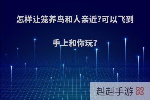 怎样让笼养鸟和人亲近?可以飞到手上和你玩?