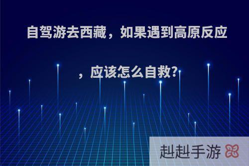 自驾游去西藏，如果遇到高原反应，应该怎么自救?