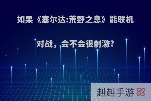 如果《塞尔达:荒野之息》能联机对战，会不会很剌激?
