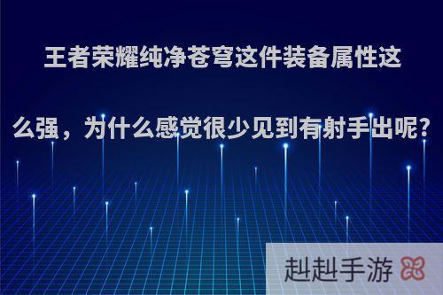 王者荣耀纯净苍穹这件装备属性这么强，为什么感觉很少见到有射手出呢?