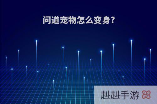 问道宠物怎么变身?