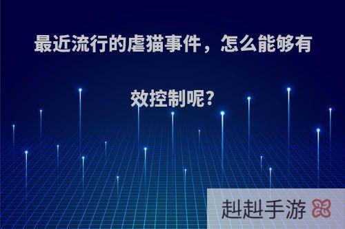 最近流行的虐猫事件，怎么能够有效控制呢?