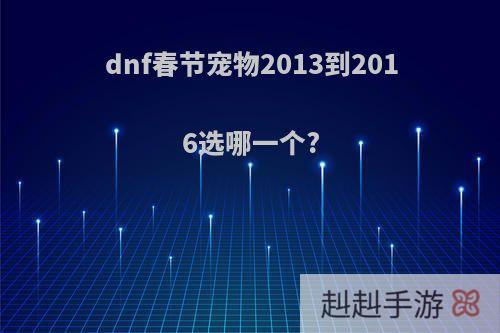 dnf春节宠物2013到2016选哪一个?