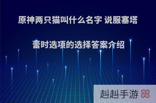 原神两只猫叫什么名字 说服塞塔蕾时选项的选择答案介绍