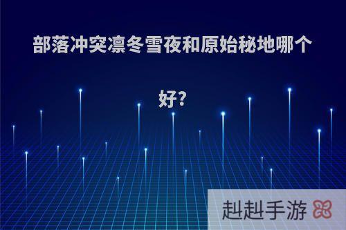部落冲突凛冬雪夜和原始秘地哪个好?