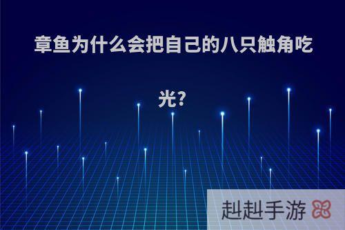 章鱼为什么会把自己的八只触角吃光?