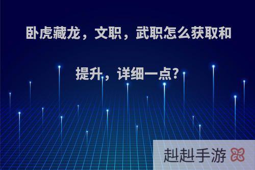 卧虎藏龙，文职，武职怎么获取和提升，详细一点?