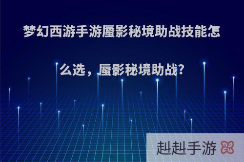 梦幻西游手游蜃影秘境助战技能怎么选，蜃影秘境助战?